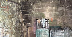 Vineyard with wine cellar and spectacular views overlooking the Miño