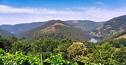 Vineyard with wine cellar and spectacular views overlooking the Miño