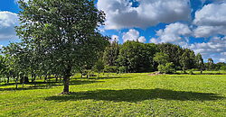 Schönes, renoviertes Natursteinhaus mit Garten in Monterroso Schönes, renoviertes Natursteinhaus mit Garten in Monterroso