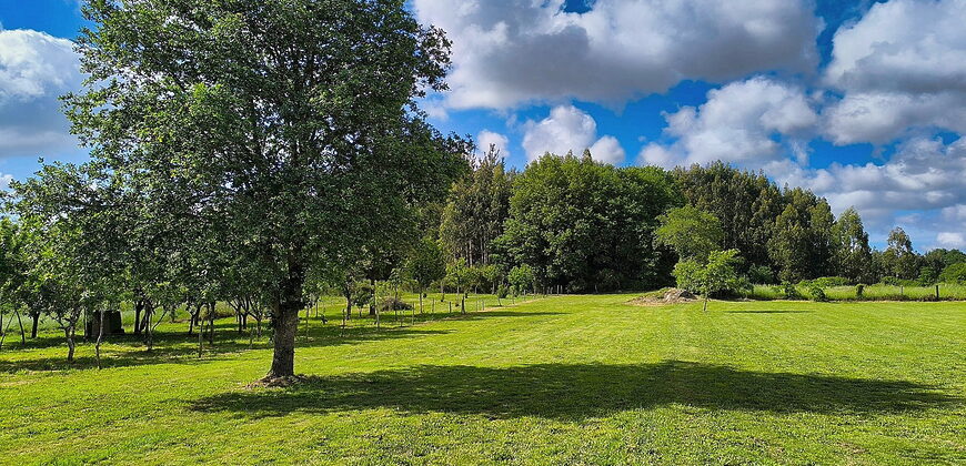 Schönes, renoviertes Natursteinhaus mit Garten in Monterroso