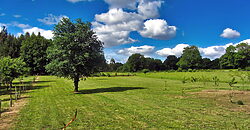 Schönes, renoviertes Natursteinhaus mit Garten in Monterroso Schönes, renoviertes Natursteinhaus mit Garten in Monterroso