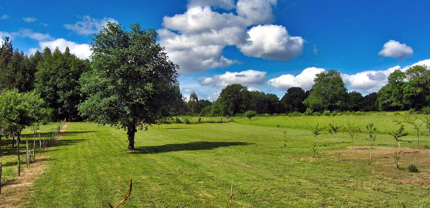 Schönes, renoviertes Natursteinhaus mit Garten in Monterroso