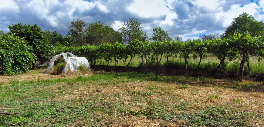 Detached country home with garden in the centre of the Ribeira Sacra