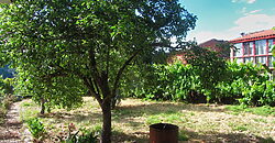 Detached country home with garden in the centre of the Ribeira Sacra