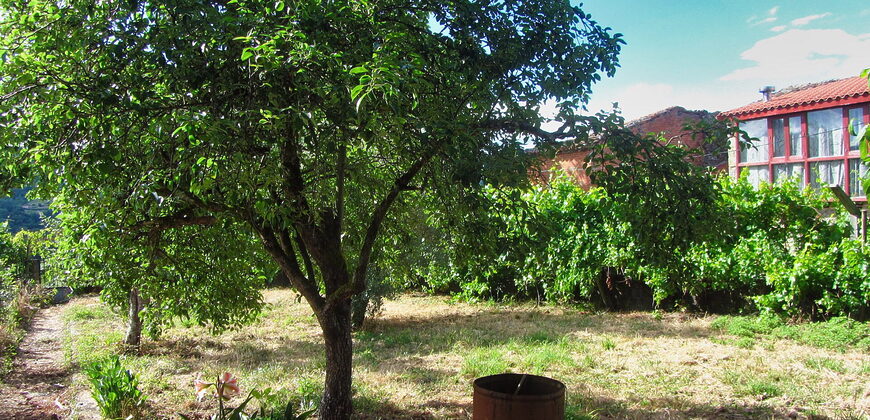 Detached country home with garden in the centre of the Ribeira Sacra