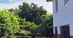 Detached country home with garden in the centre of the Ribeira Sacra