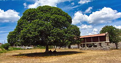 Complex of 3 stone-built houses with a beautiful “hórreo” and land Complex of 3 stone-built houses with a beautiful “hórreo” and land