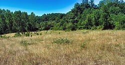 Rustic stone-built house to renovate with outbuildings and a large plot of land Rustic stone-built house to renovate with outbuildings and a large plot of land