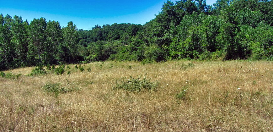 Rustic stone-built house to renovate with outbuildings and a large plot of land