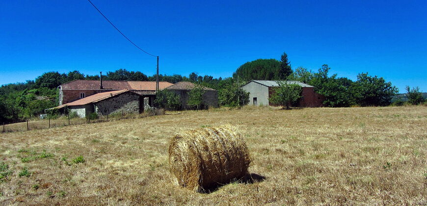Stunning hamlet for sale with 20 hectares of land