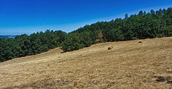 Stunning hamlet for sale with 20 hectares of land Stunning hamlet for sale with 20 hectares of land