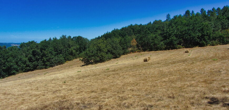 Stunning hamlet for sale with 20 hectares of land