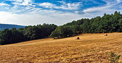 Stunning hamlet for sale with 20 hectares of land Stunning hamlet for sale with 20 hectares of land