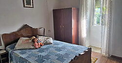 Stunning hamlet for sale with 20 hectares of land Stunning hamlet for sale with 20 hectares of land