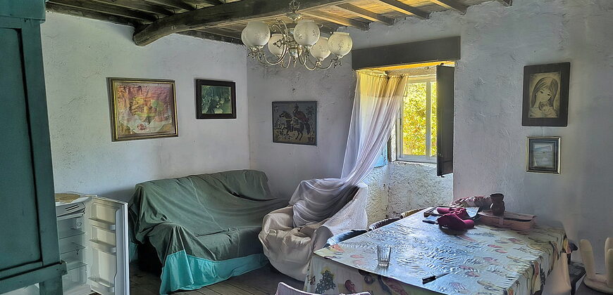 Stunning hamlet for sale with 20 hectares of land
