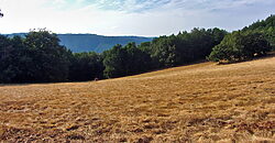 Stunning hamlet for sale with 20 hectares of land Stunning hamlet for sale with 20 hectares of land