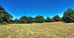 Stunning hamlet for sale with 20 hectares of land Stunning hamlet for sale with 20 hectares of land