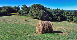 Stunning hamlet for sale with 20 hectares of land Stunning hamlet for sale with 20 hectares of land